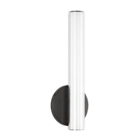 Tole 14-in Aluminum Steel Acrylic Wall Sconce
