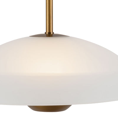 Umbra 14-in Pendant with Black Diffuser