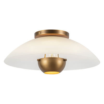 Umbra 14-in Steel Semi-Flush Mount