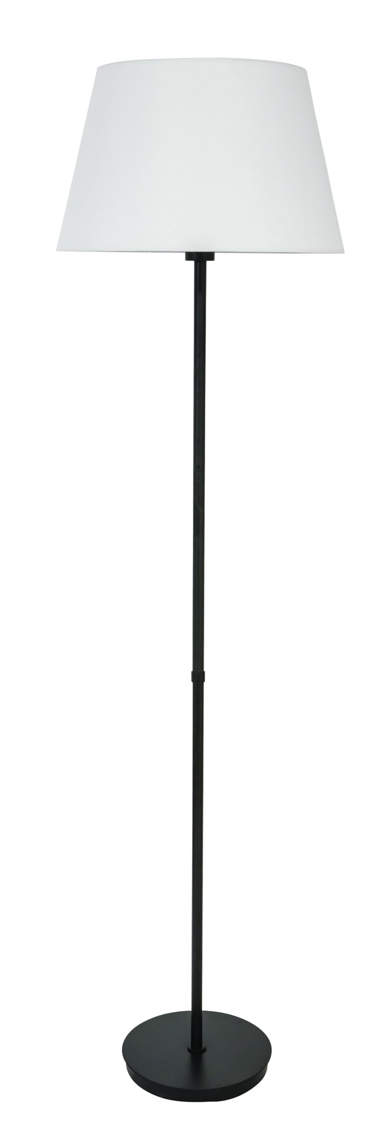 63.5-inch Vernon Black Floor Lamp