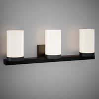 Peony 3 light 23 inch matte black dimmable vanity light