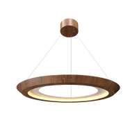 1.42'' Modern Petra LED Accord Pendant Light
