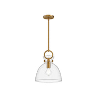 Waldo 11-in 1 Light Clear Glass Socket Pendant