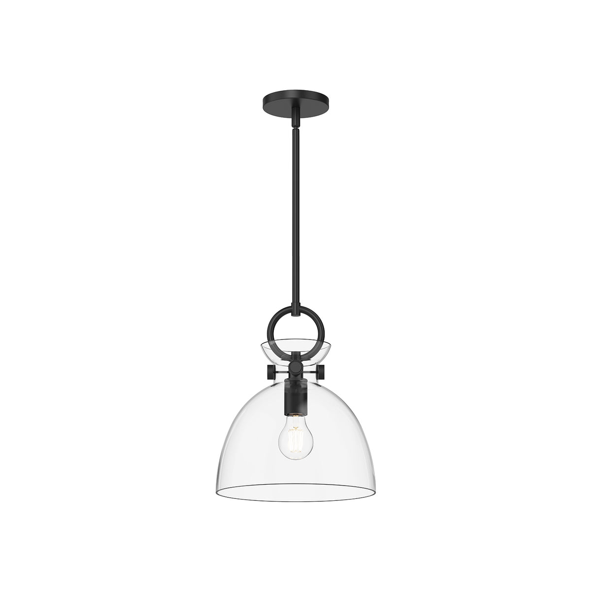 Waldo 11-in 1 Light Clear Glass Socket Pendant