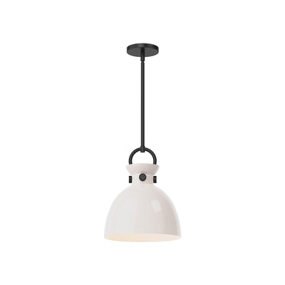 Waldo 11-in 1 Light Clear Glass Socket Pendant