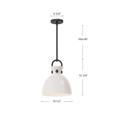 Waldo 11-in 1 Light Clear Glass Socket Pendant