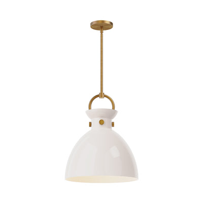 Waldo 14-in 1 Light Clear Glass Socket Pendant