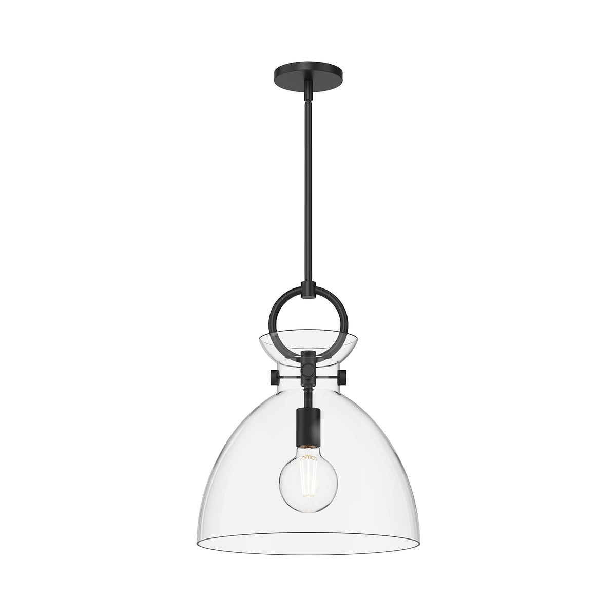 Waldo 14-in 1 Light Clear Glass Socket Pendant