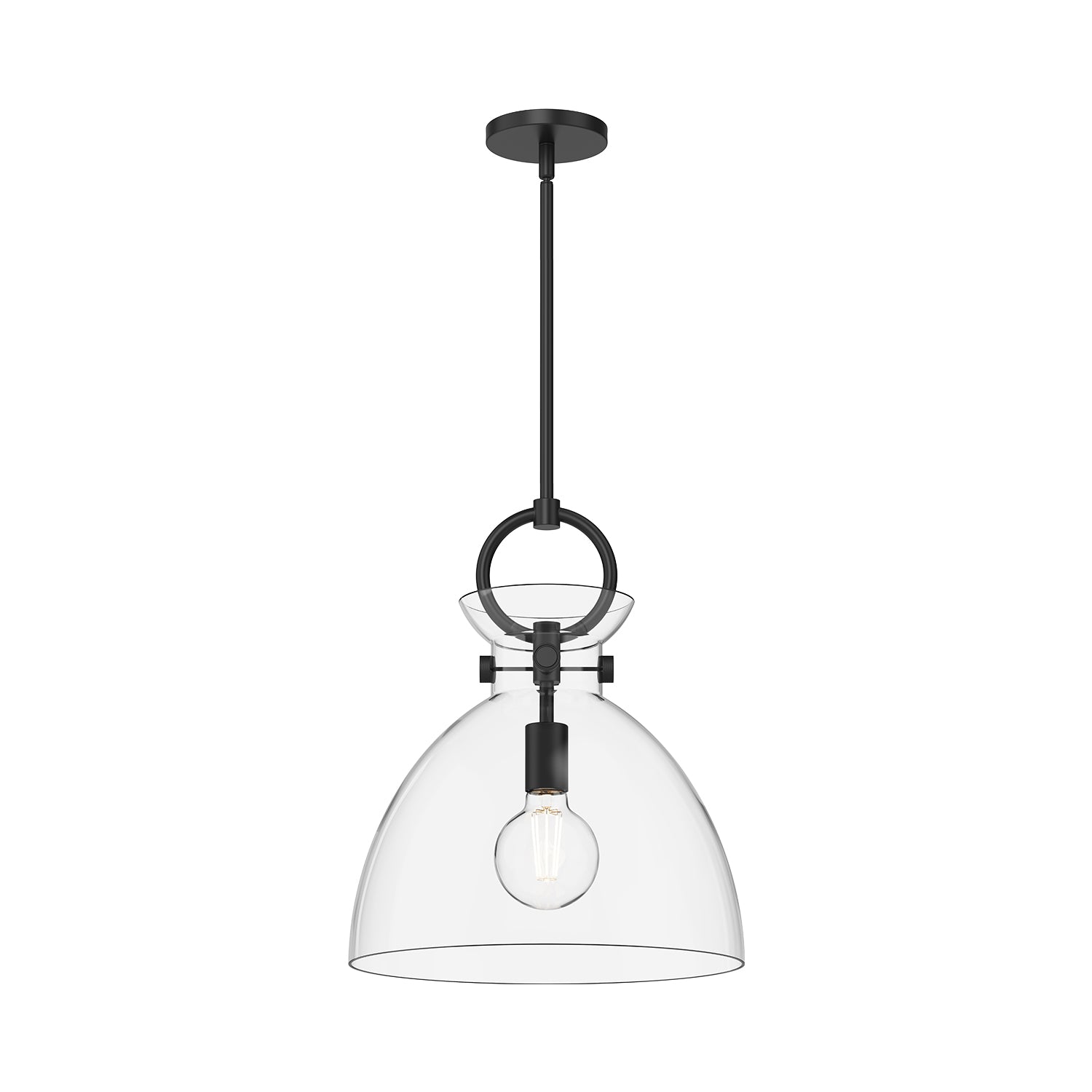 Waldo 14-in 1 Light Clear Glass Socket Pendant