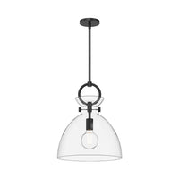 Waldo 14-in 1 Light Clear Glass Socket Pendant