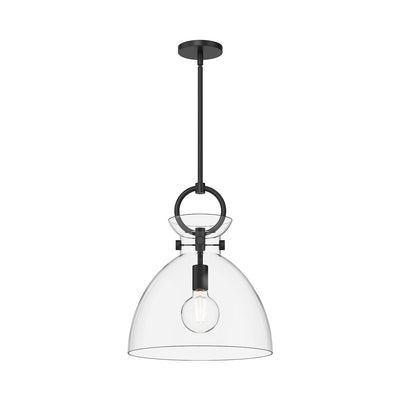 Waldo 14-in 1 Light Clear Glass Socket Pendant