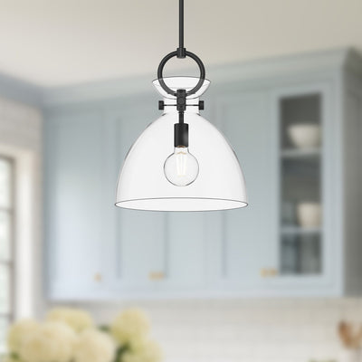 waldo-14-in-1-light-clear-glass-socket-pendant-