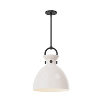 Waldo 14-in 1 Light Clear Glass Socket Pendant