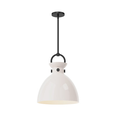 Waldo 14-in 1 Light Clear Glass Socket Pendant