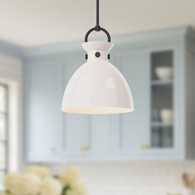 waldo-14-in-1-light-clear-glass-socket-pendant-
