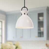 Waldo 14-in 1 Light Clear Glass Socket Pendant