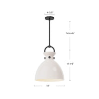 Waldo 14-in 1 Light Clear Glass Socket Pendant