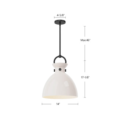 Waldo 14-in 1 Light Clear Glass Socket Pendant
