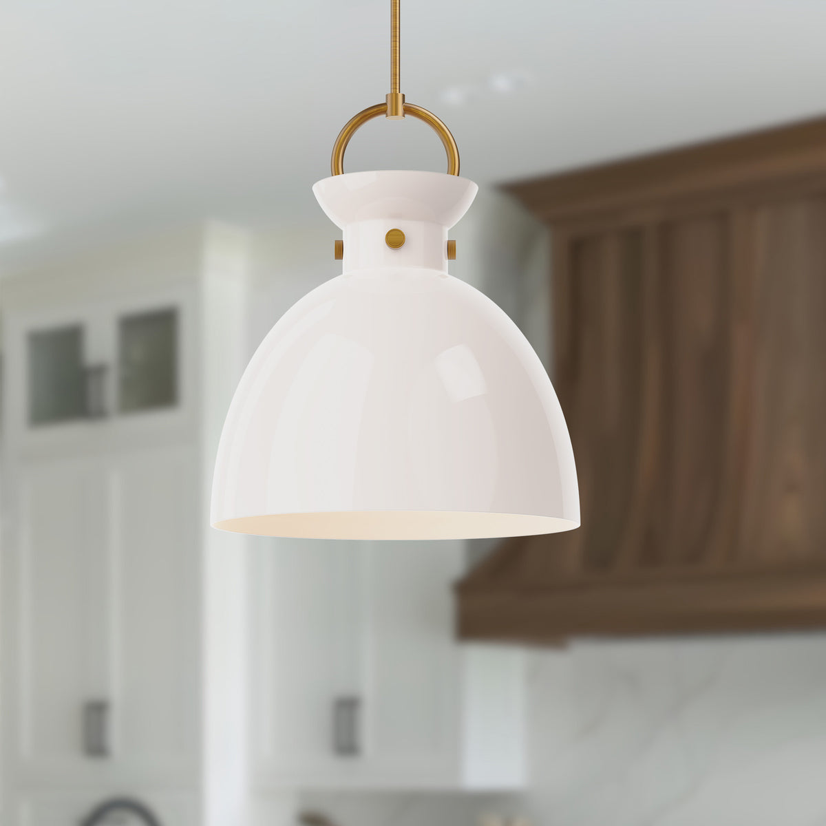 Waldo 1 Light 18-in Pendant