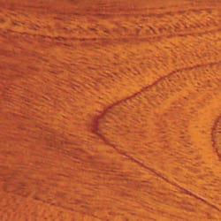 Bianca Direcional Directional Ceiling Fan