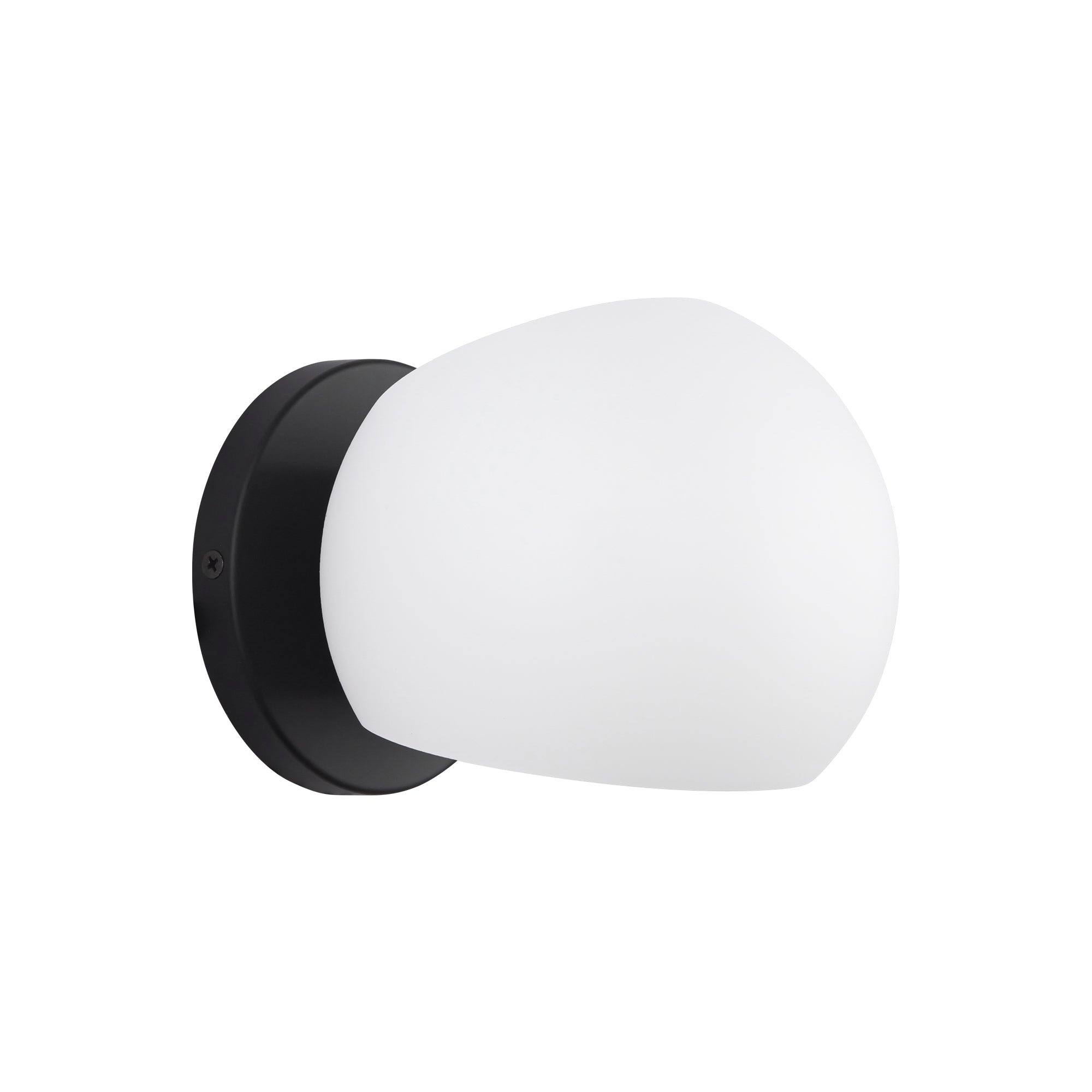 Willow 6-in Steel Vanity Light 60W