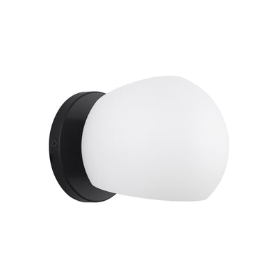 Willow 6-in Steel Vanity Light 60W