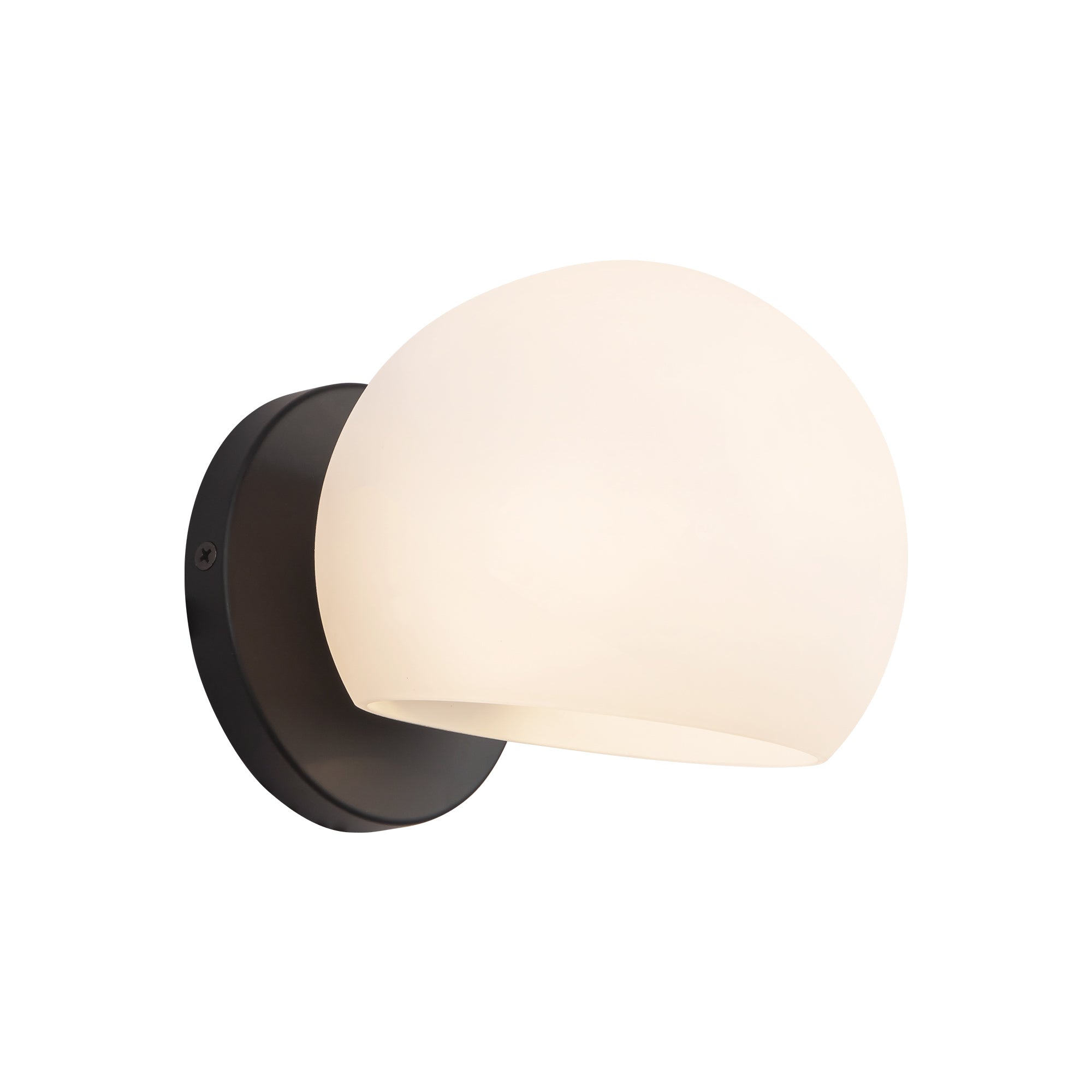 Willow 6-in Steel Vanity Light 60W