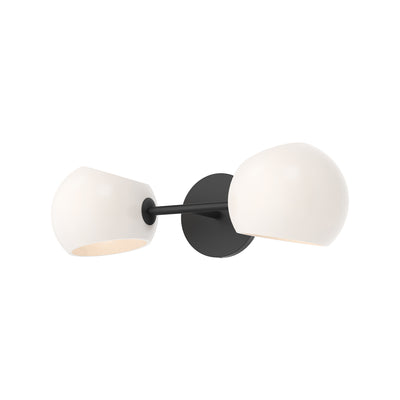 Willow 17-in 2 Lights Steel Vanity Light