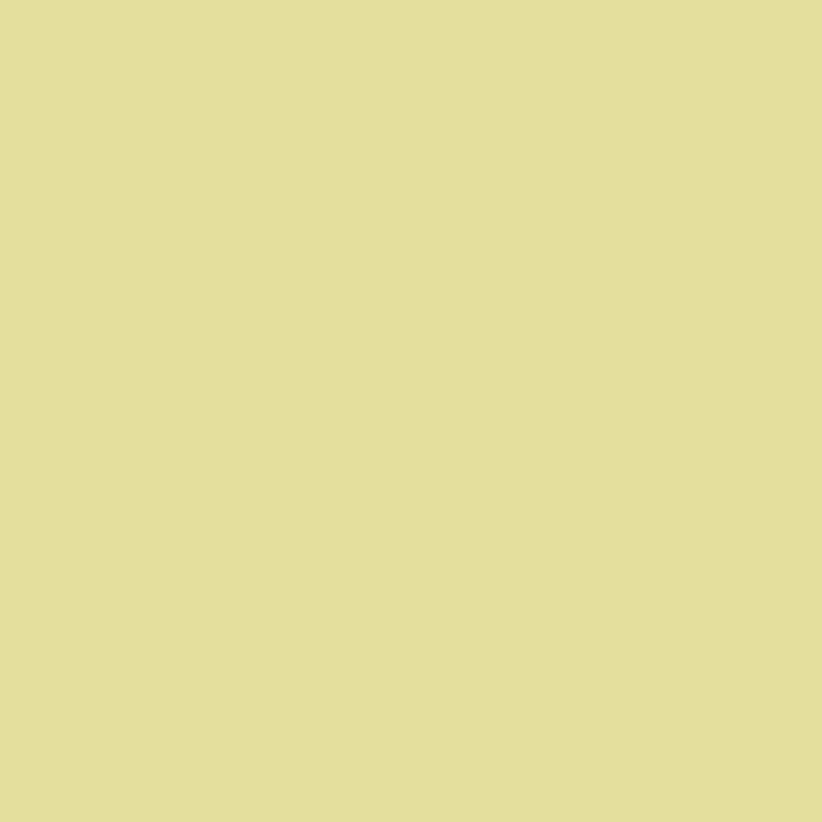 Alessandra Tropical 5-Blade Ceiling Fan Without Light Kit