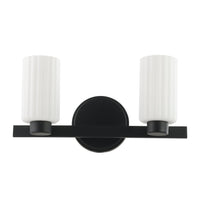 Bedminster 14-inch 2-light Matte Black Vanity Light with Etched Opal Ribbed Glass Shades