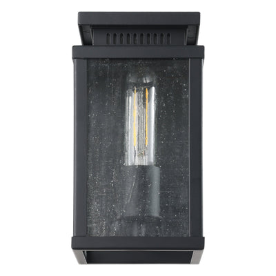 Overton 9-inch 1-light Matte Black Exterior Wall Sconce with Clear Antique Glass
