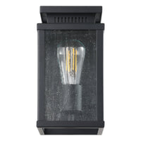 Overton 9-inch 1-light Matte Black Exterior Wall Sconce with Clear Antique Glass