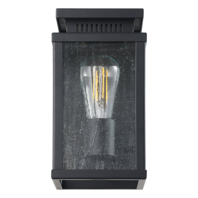 Overton 9-inch 1-light Matte Black Exterior Wall Sconce with Clear Antique Glass