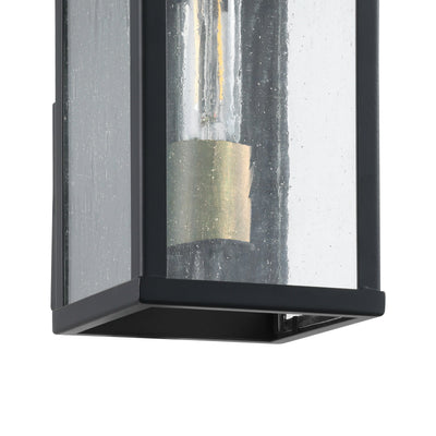 Overton 9-inch 1-light Matte Black Exterior Wall Sconce with Clear Antique Glass
