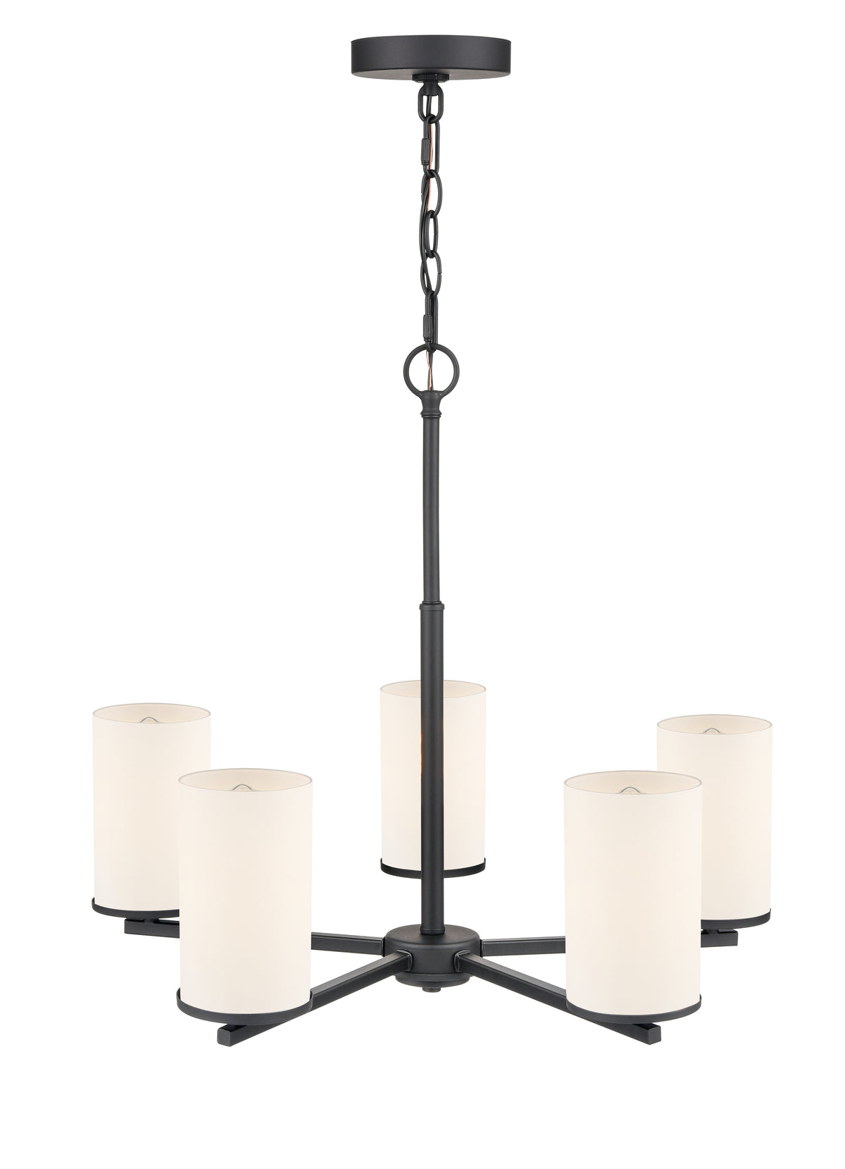 24-inch Verlana Matte Black 5-Light Etched White Glass Chandelier