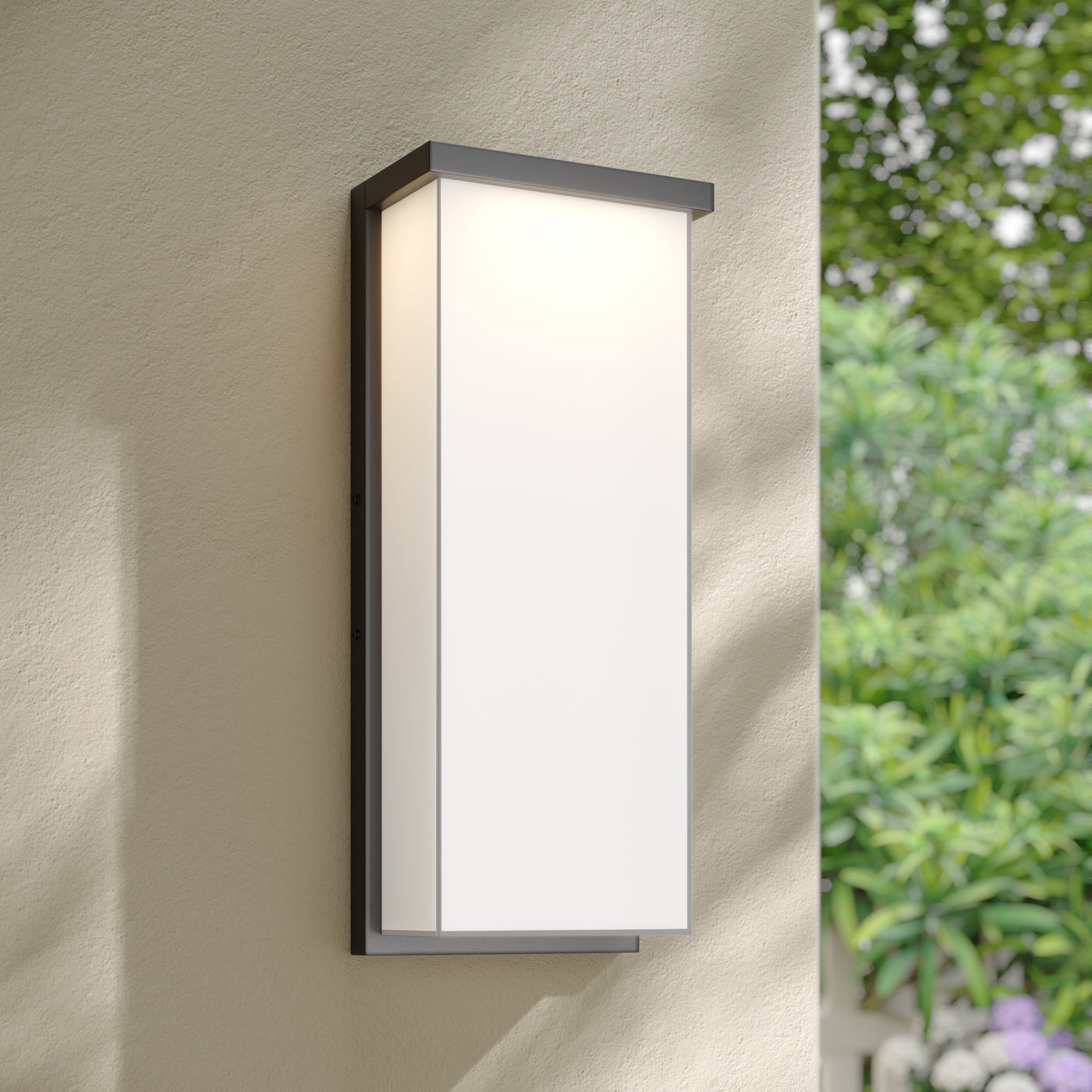 8'' Sommar Powder Coated Black  Light Wall Sconce