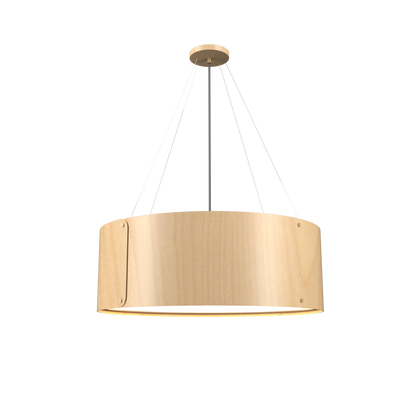 9.84'' Element Accord Pendant Light