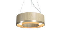 9.84'' Contemporary Cylindrical LED Accord Pendant Light