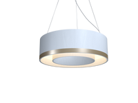 9.84'' Modern Cylindrical LED Accord Pendant Light