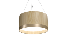 9.84'' Timeless Cylindrical LED Accord Pendant Light