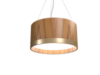 9.84'' Minimalist Cylindrical LED Accord Pendant Light