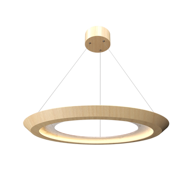 1.42'' Minimalist Petra LED Accord Pendant Light
