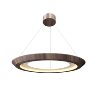 1.42'' Contemporary Petra LED Accord Pendant Light