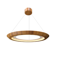 1.42'' Modern Petra LED Accord Pendant Light