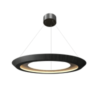 1.38'' Modern Petra LED Accord Pendant Light