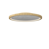 3.94'' Contemporary Petra LED Accord Flush Mount Light