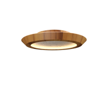 3.74'' Minimalist Petra LED Accord Flush Mount Light
