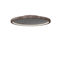 3.94'' Modern Petra LED Accord Flush Mount Light