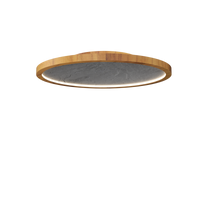 3.94'' Modern Petra LED Accord Flush Mount Light