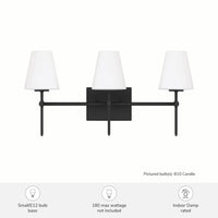 Camelia Stem 24-inch 3-light Matte Black and Cased White Glass Vanity Light with Cased White Glass